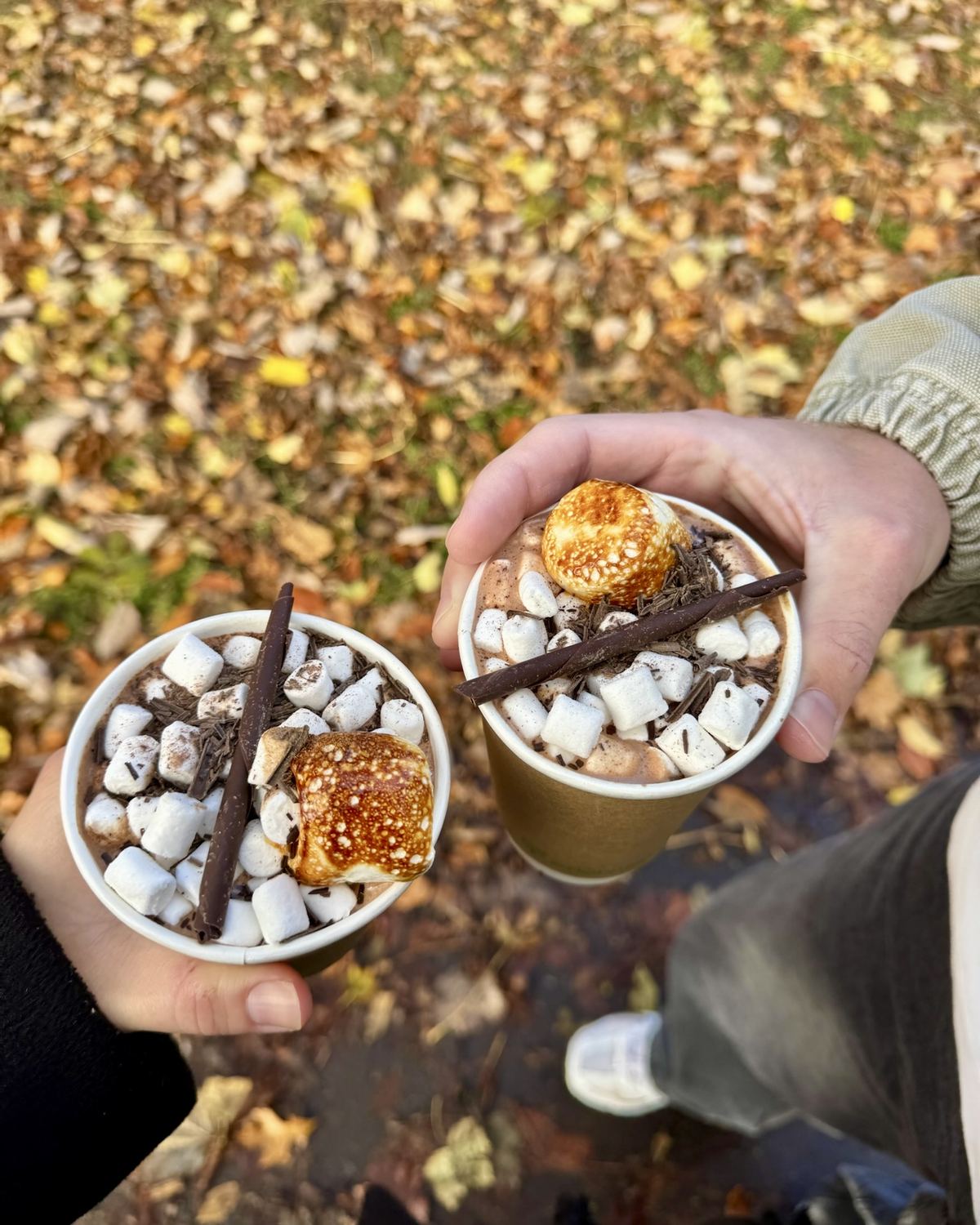 Twee bekers warme chocolademelk met marshmallows boven herfstbladeren