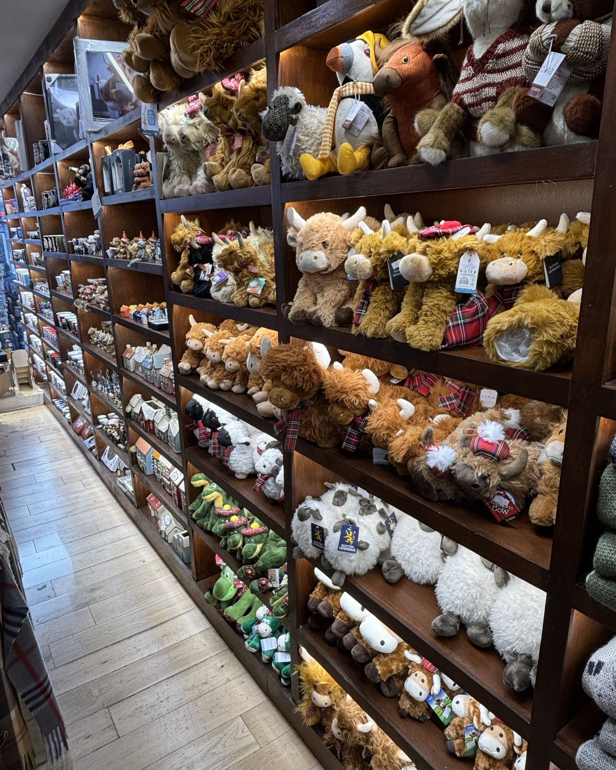 Een souvenirwinkel met schappen vol knuffels van Highland-koeien met tartan sjaaltjes